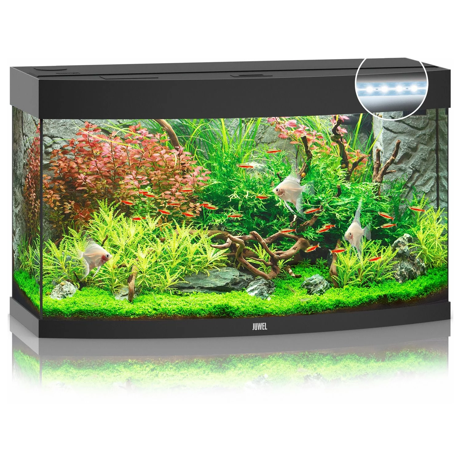 Juwel Aquarium Vision 180 Led 92x41x55 Cm - Aquaria