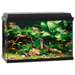 Juwel Aquarium Primo 70 61x31x44 Cm - Aquaria