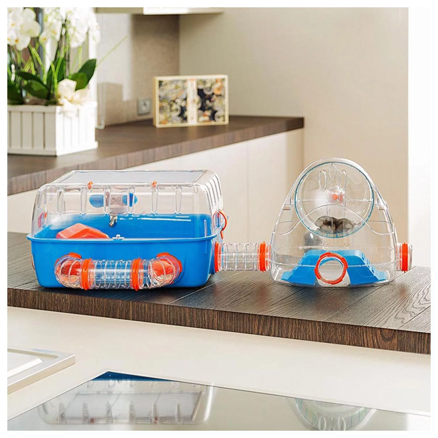 Ferplast Hamsterkooi Combi 2 - Dierenverblijf - 79.5x29.5x26x3 Cm Blauw Oranje - Image 9