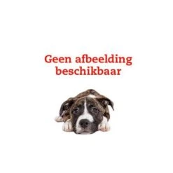 Keddoc Loopwiel Blauw - Speelgoed